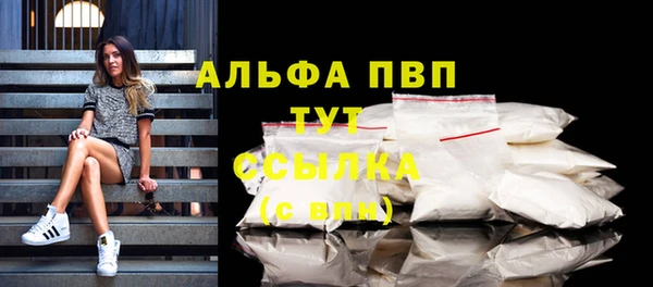 крисы Абаза