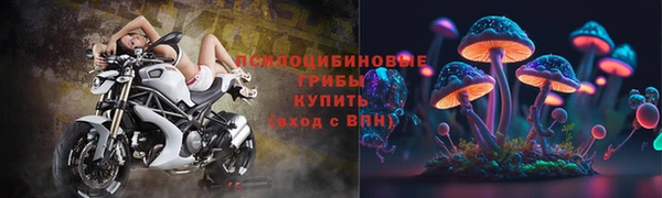 прущая мука Новозыбков