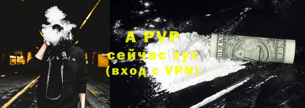 крисы Абаза