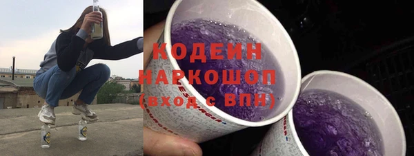 крисы Абаза