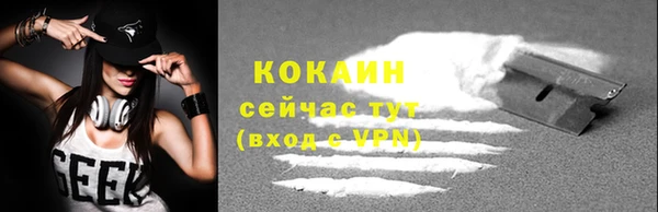 крисы Абаза