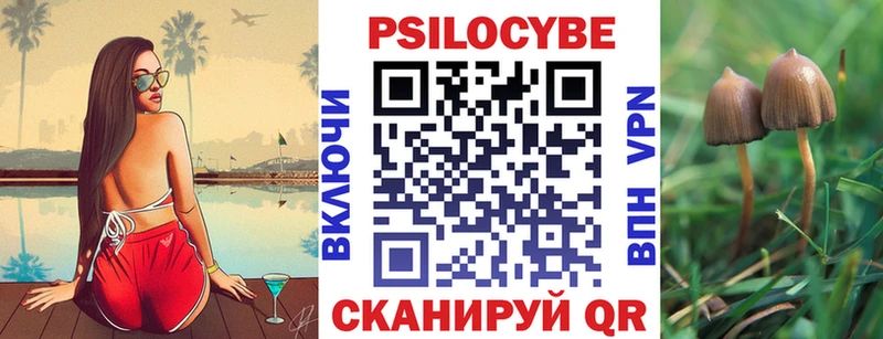 Псилоцибиновые грибы ЛСД  закладка  сайты даркнета клад  Пойковский 